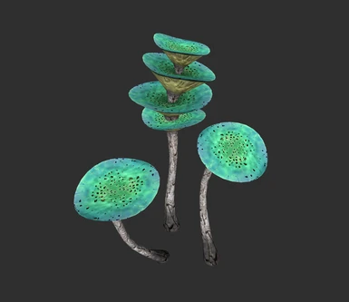 Mushroom Cluster 02