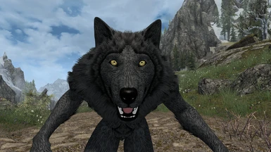 Companions No Werewolf Option - Fixed at Skyrim Special Edition Nexus -  Mods and Community