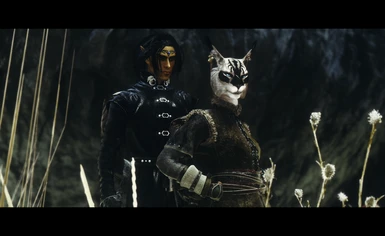 a stupid ex-Thalmor boy and a stupid khajiit with nordic temper are definitely  your saving world team (or not)