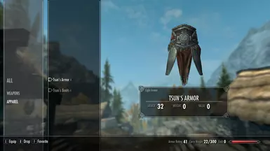 Inventory (Tsun's Armor)