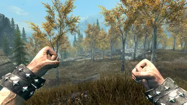 First Person View