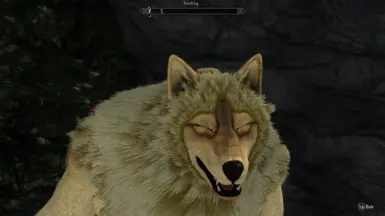 Elegant Werewolf Overhaul at Skyrim Special Edition Nexus - Mods and ...