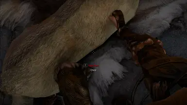 Immersive Interactions - Petting the Meeko Reborn