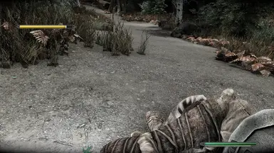 TK Dodge - Forward Roll action