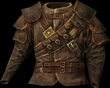 Wearable Unenchanted Thieves Guild Armor at Skyrim Special Edition ...