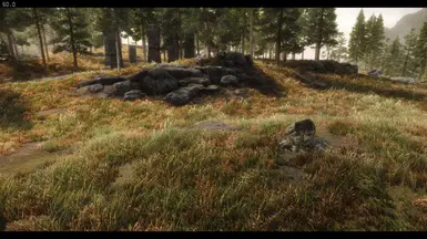 Squeegee's Grass Patches at Skyrim Special Edition Nexus - Mods and ...