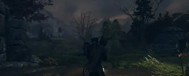 With Elden Rim ReShade