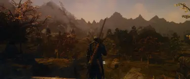 With Elden Rim ReShade