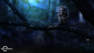 Owl of Shadows - Main Menu Replacer