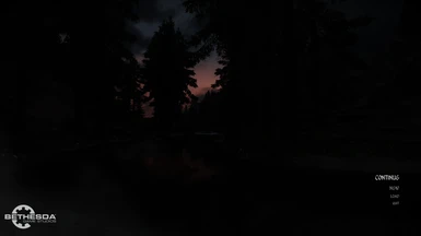 Without ENB.(Darker image)