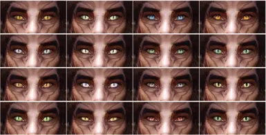 Additional Eyes