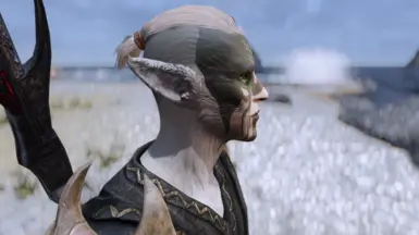 New! Small ears