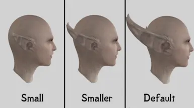 Ear Size Comparison