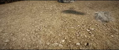 1K 