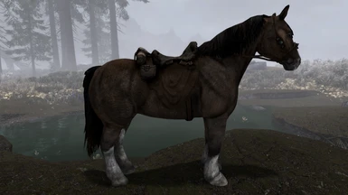 Higher Poly Horse