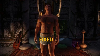 Equippable Underwear for NPCS - HIMBO Refit Updated at Skyrim Special  Edition Nexus - Mods and Community