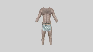 Underwear for NPCs - 3BA UniBoob - HIMBO at Skyrim Special Edition Nexus -  Mods and Community