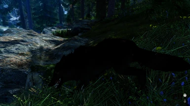 with wolves disabled in dynamic animal variants