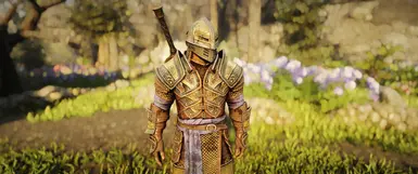 Bulkier Spell Knight Armor at Skyrim Special Edition Nexus - Mods and ...