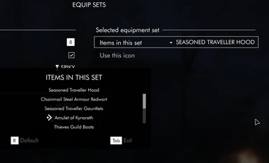 13 previewing items in an equipment set