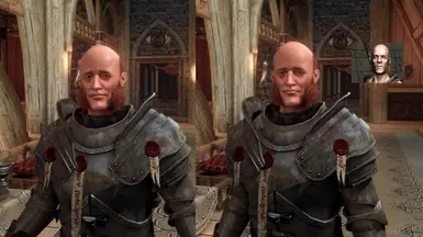 Vigilant Tolan 