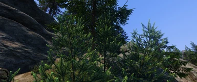 Cathedral - 3D Pine Shrubs