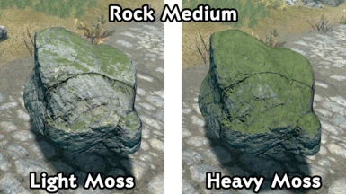 Medium Rock