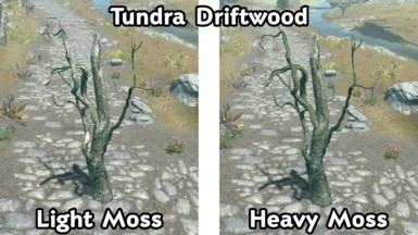 Tundra Driftwood