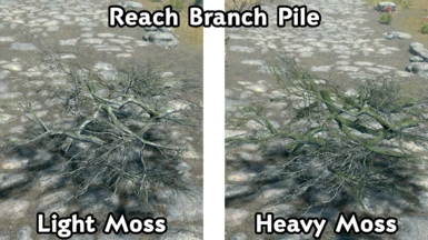 Reach Branch Pile