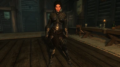 Elven Armour v1_2 - SSE Re-Engaged ReShade