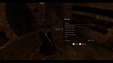 Draugr wont wear armor, items will be in their inventory.
