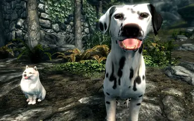 PT-BR) Dovah Dogs - Dovahkiin's Best Friend at Skyrim Special