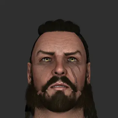 Ulfric Stormcloak (Elevated NPCs)