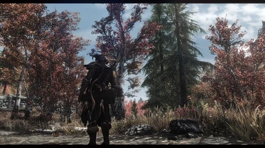 The Dragonborn Comes---to Riften area