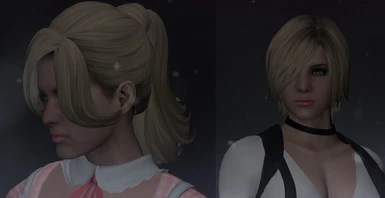 New hairstyles for Sherry's default outfits