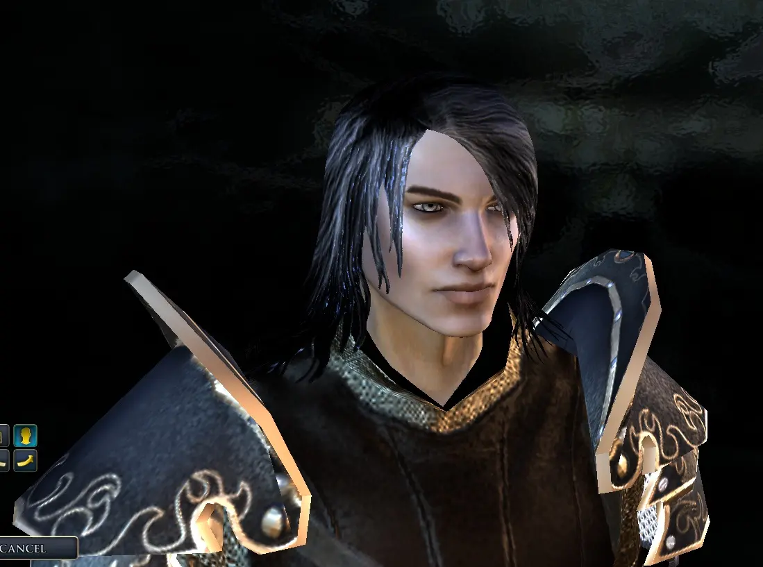 Handsome Gann at Neverwinter 2 Nexus - mods and community