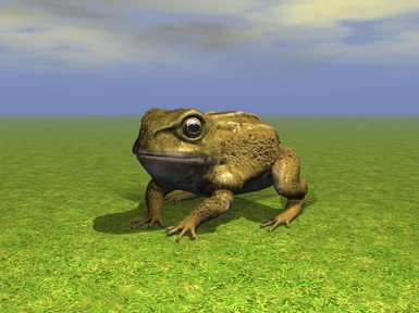 frog08