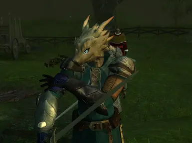 Dragonborn head option for Humans