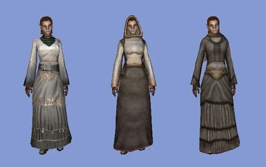 3 missing dresses for Elves