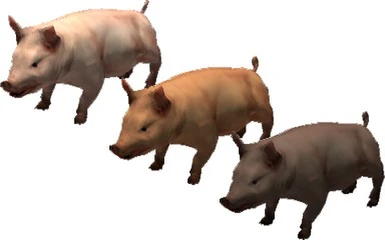 Pig - tintable model