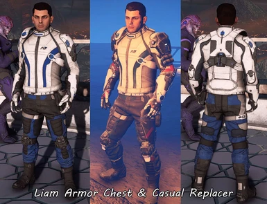 Liam Armor Chest and Casual Replacer