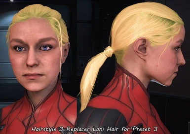 Hairstyle 3 Replacer Lani Hair for Preset 3