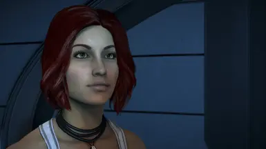 oblivion character overhaul v2 no custom hair