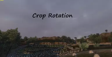 Crop Rotation