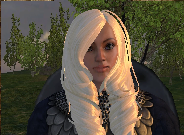 mount and blade warband new hair styles