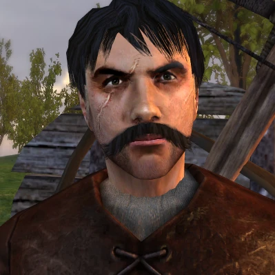mount and blade sky face