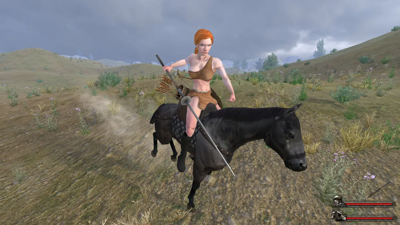 Мод mounts. Маунт энд блейд баннерлорд женщины. Mount and Blade +18. Mount and Blade амазонки. Моунт анд бладе 2 женщин.