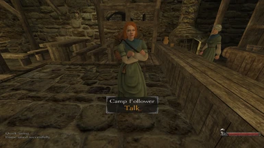 Camp Follower for hire in tavern