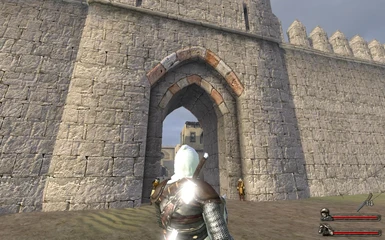 mount and blade assassin