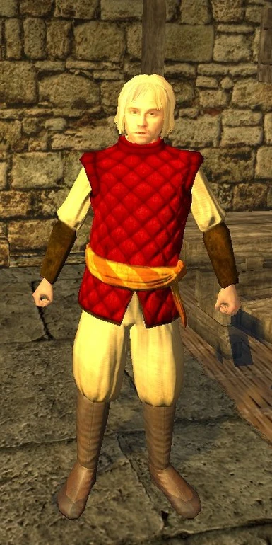 Screenshot - Colored Archer's Vest